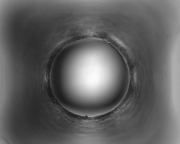 X0000088701206200706071533