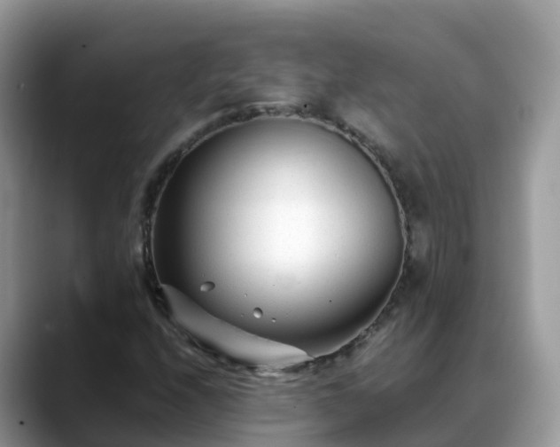 X0000088701208200706071533