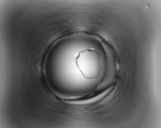 X0000088701210200706071533
