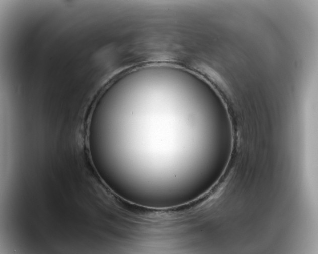 X0000088701212200706071533