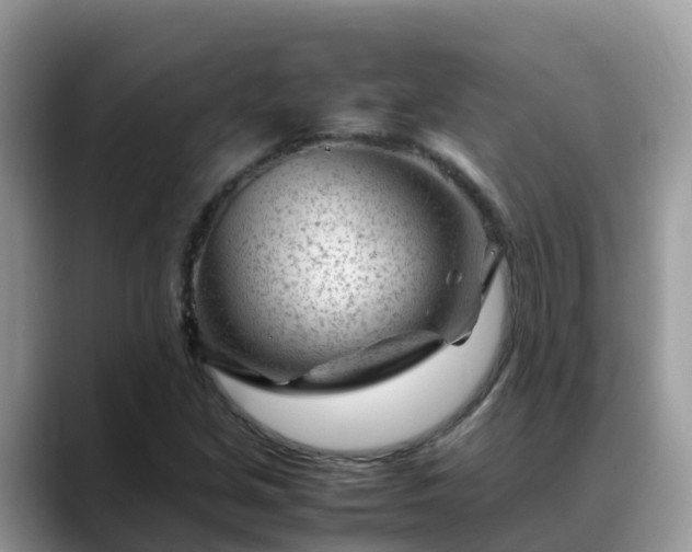 X0000088701213200706071533