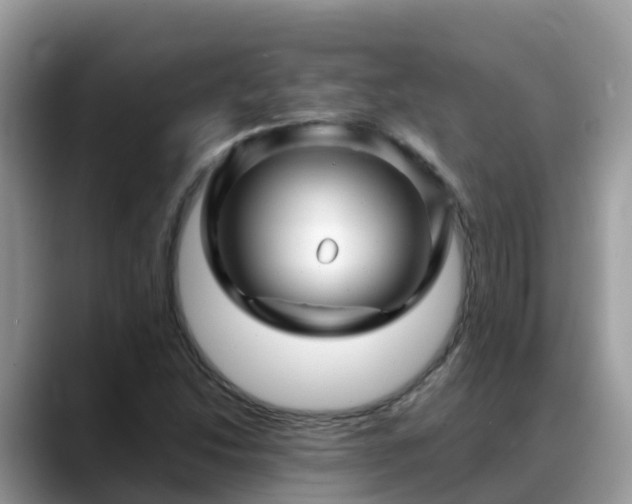 X0000088701214200706071533