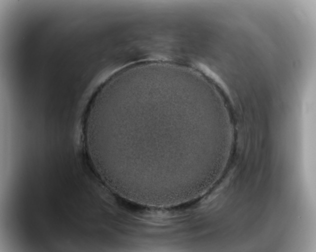 X0000088701215200706071533