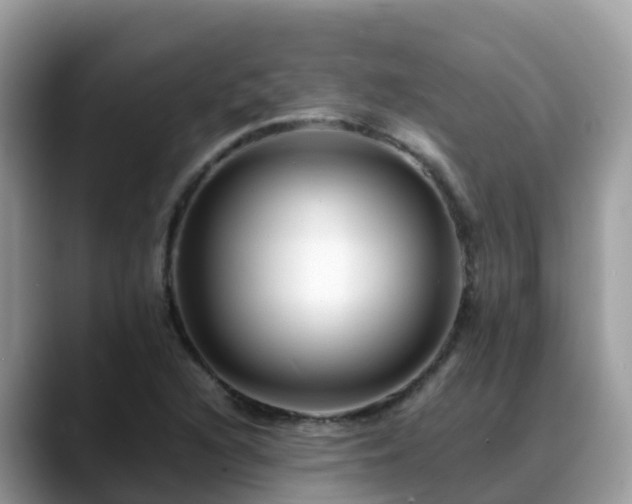X0000088701216200706071533