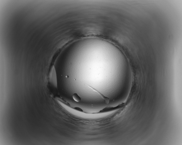 X0000088701217200706071533