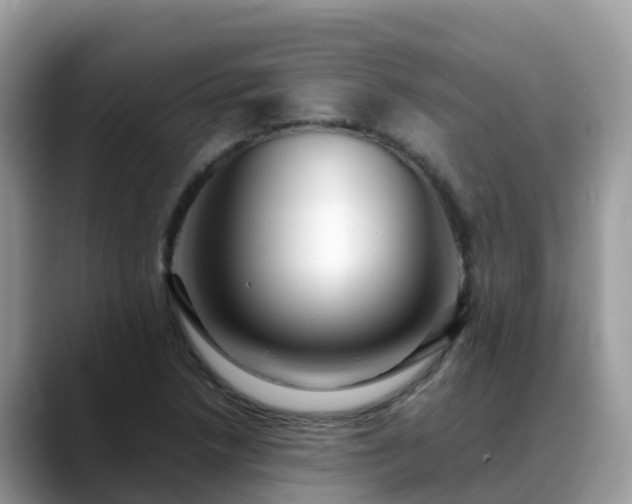 X0000088701218200706071533