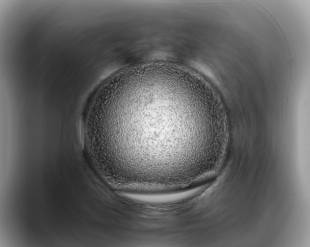 X0000088701219200706071533