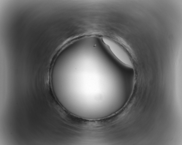 X0000088701220200706071533