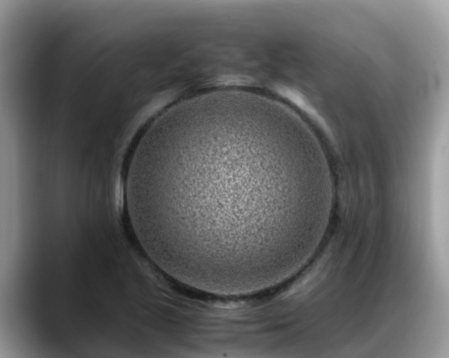 X0000088701221200706071533