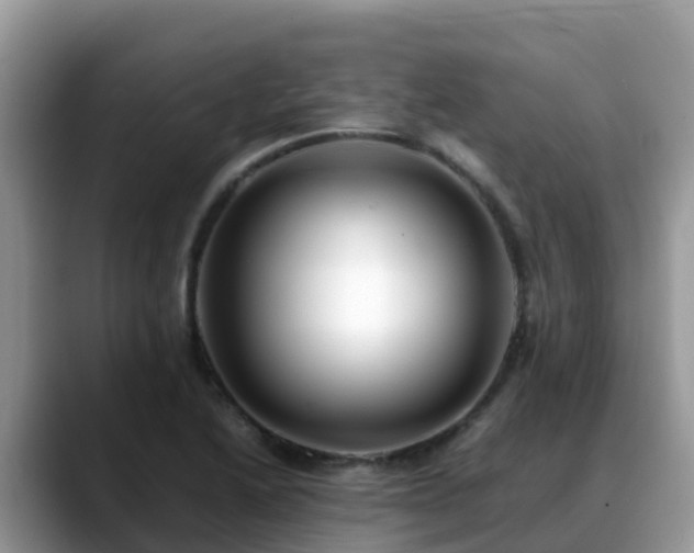 X0000088701222200706071533