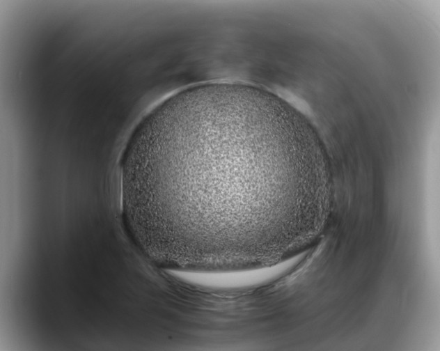 X0000088701223200706071533