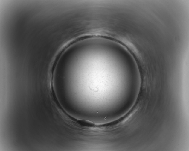 X0000088701224200706071533