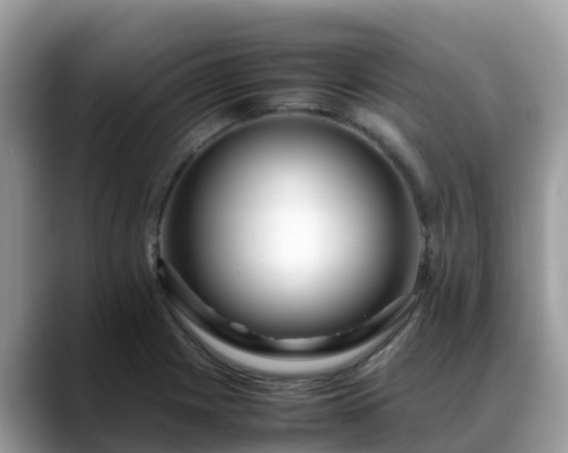 X0000088701225200706071533