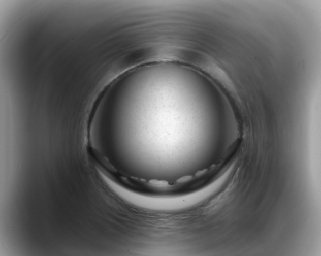 X0000088701226200706071533