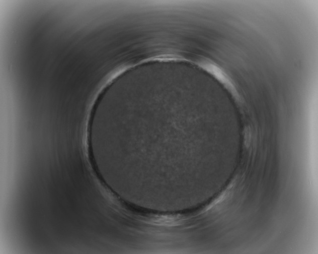 X0000088701229200706071533