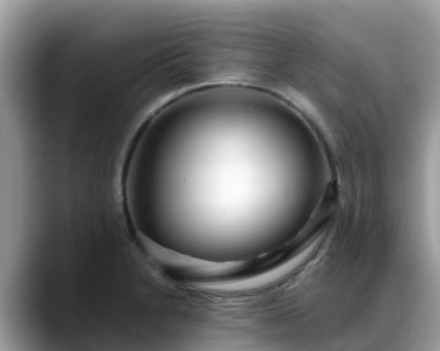 X0000088701230200706071533