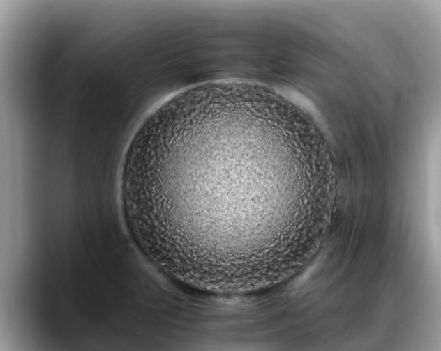 X0000088701231200706071533