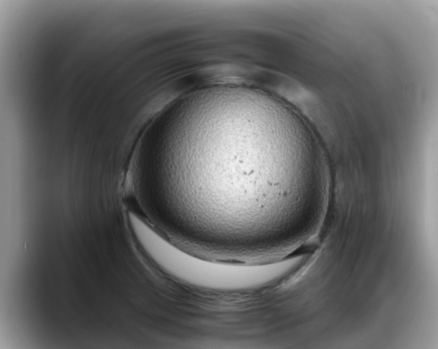 X0000088701233200706071533