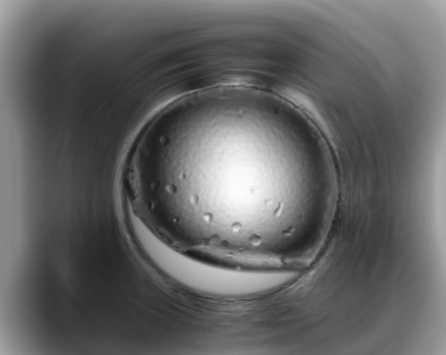 X0000088701235200706071533