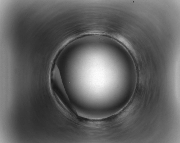 X0000088701237200706071533