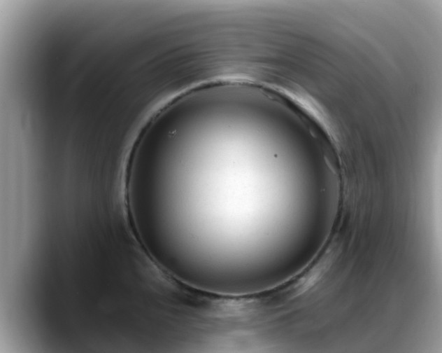 X0000088701240200706071533