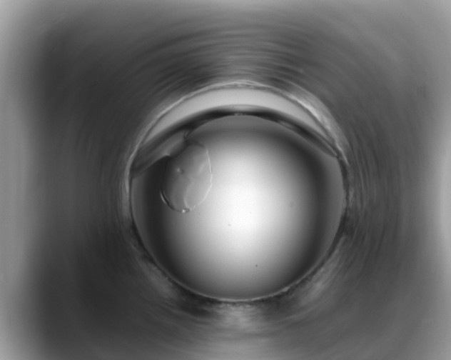 X0000088701242200706071533