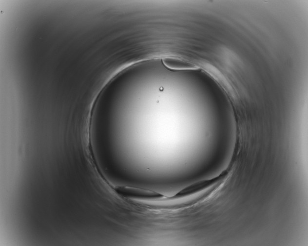 X0000088701244200706071533