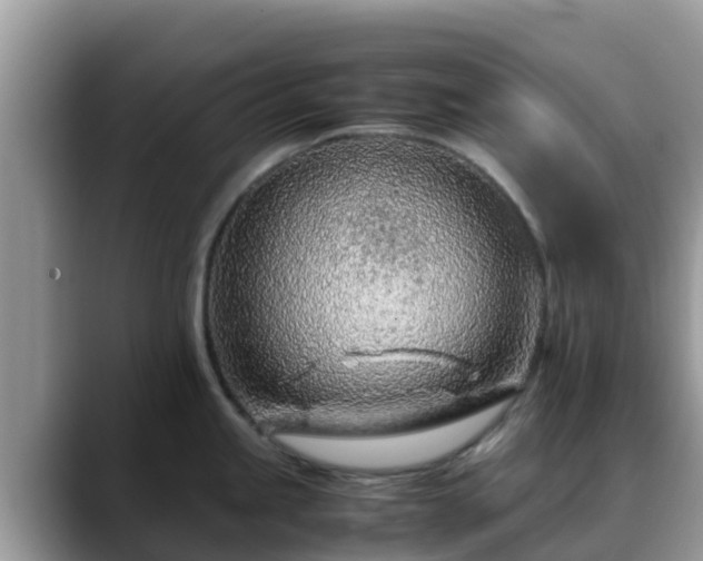 X0000088701245200706071533