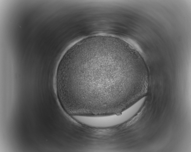 X0000088701247200706071533