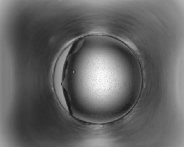 X0000088701248200706071533