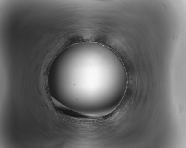 X0000088701249200706071533