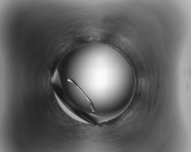 X0000088701250200706071533