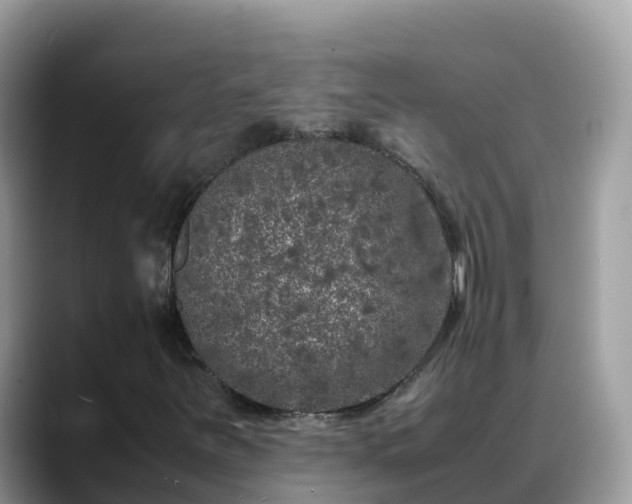 X0000088701251200706071533