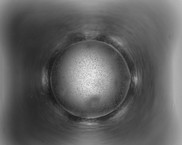 X0000088701252200706071533