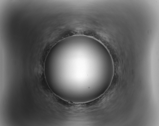 X0000088701253200706071533