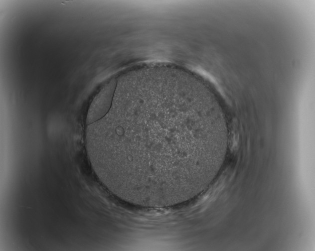 X0000088701255200706071533