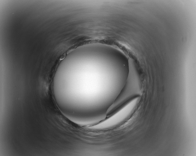 X0000088701257200706071533