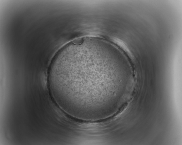 X0000088701260200706071532