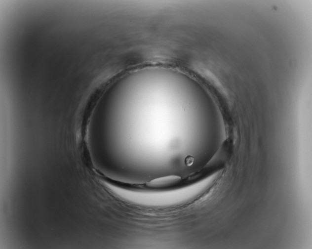 X0000088701261200706071532