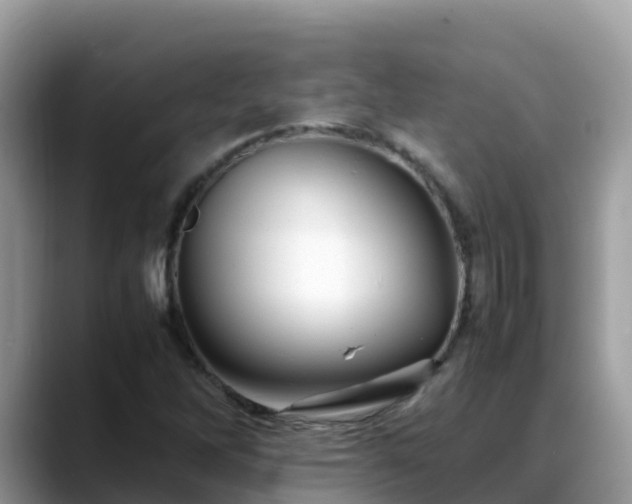 X0000088701262200706071532