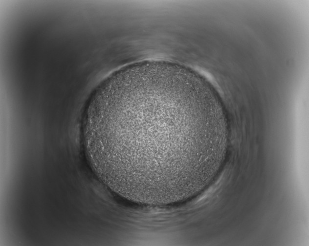 X0000088701263200706071532