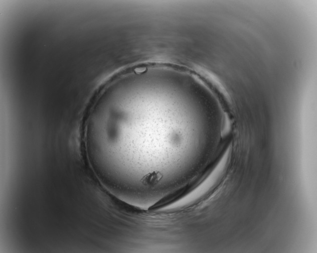 X0000088701264200706071532