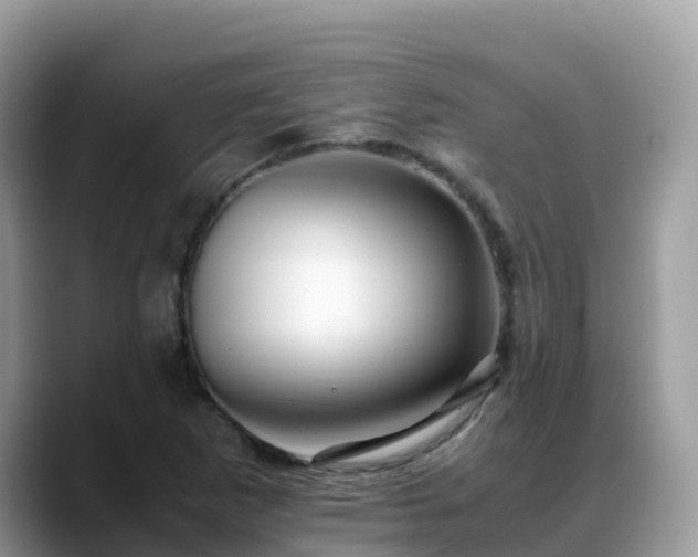 X0000088701265200706071532