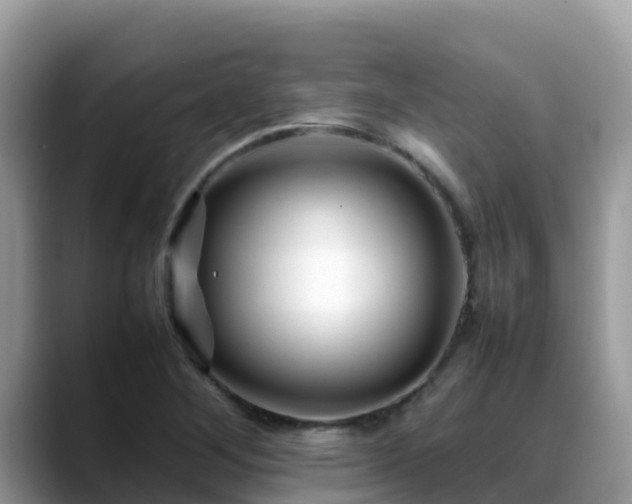 X0000088701268200706071532