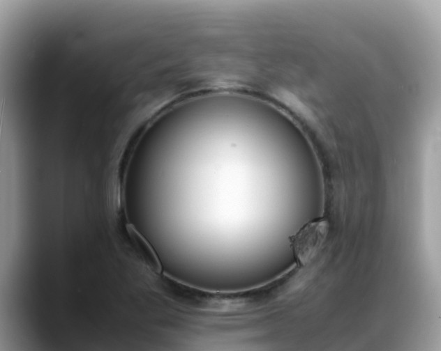 X0000088701269200706071532