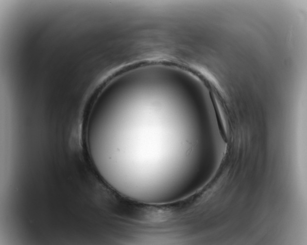 X0000088701270200706071532
