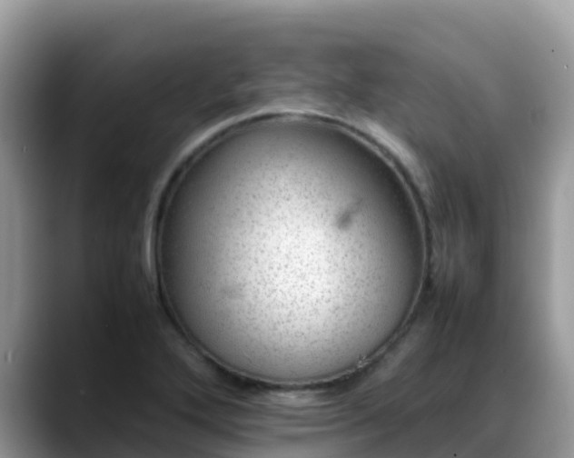 X0000088701272200706071532