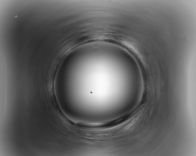 X0000088701273200706071532