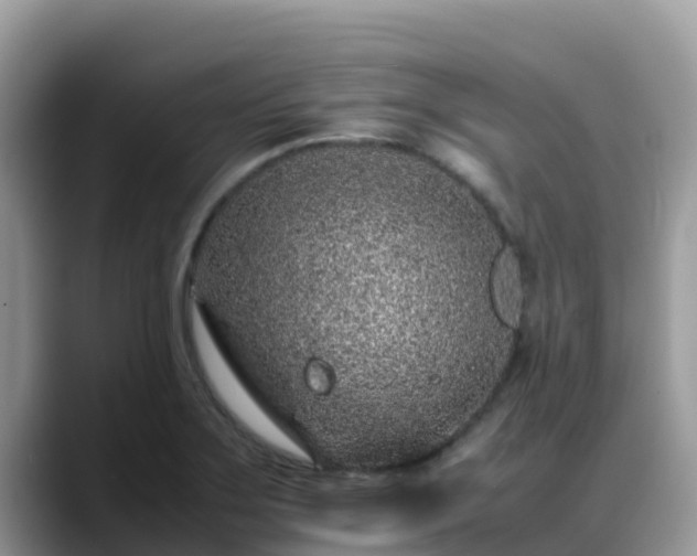 X0000088701275200706071532