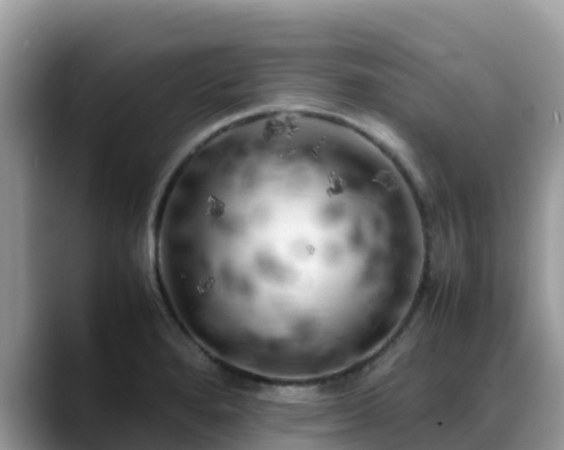 X0000088701280200706071532